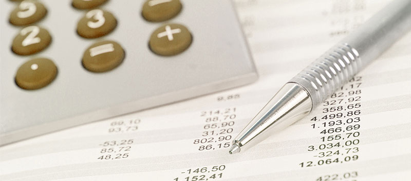 Bulgarian accountants